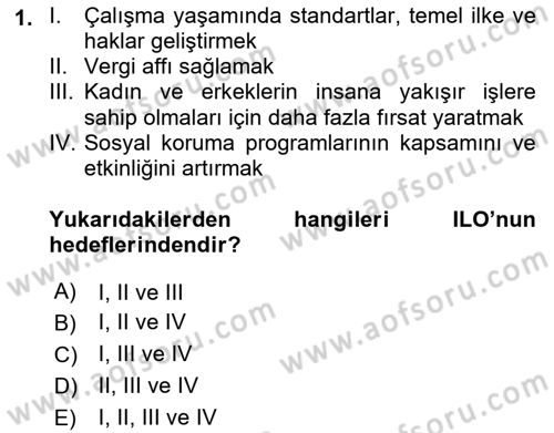Çalışma Yaşamının Denetimi Dersi 2021 - 2022 Yılı (Vize) Ara Sınav Soruları 1. Soru