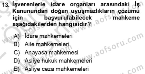 Çalışma Yaşamının Denetimi Dersi 2021 - 2022 Yılı Yaz Okulu Sınav Soruları 13. Soru