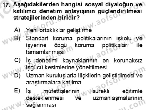 Çalışma Yaşamının Denetimi Dersi 2021 - 2022 Yılı Yaz Okulu Sınav Soruları 17. Soru