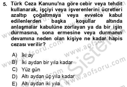 Çalışma Yaşamının Denetimi Dersi 2021 - 2022 Yılı Yaz Okulu Sınav Soruları 5. Soru
