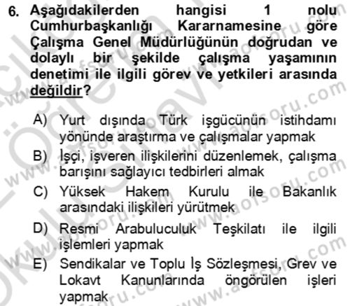 Çalışma Yaşamının Denetimi Dersi 2021 - 2022 Yılı Yaz Okulu Sınav Soruları 6. Soru