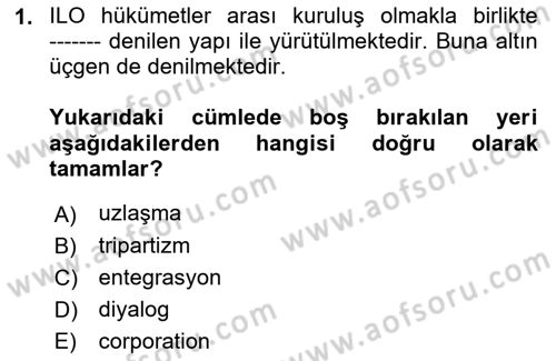 Çalışma Yaşamının Denetimi Dersi 2022 - 2023 Yılı Yaz Okulu Sınav Soruları 1. Soru