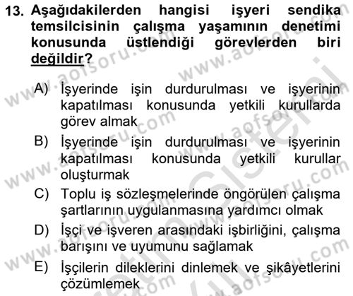 Çalışma Yaşamının Denetimi Dersi 2022 - 2023 Yılı Yaz Okulu Sınav Soruları 13. Soru