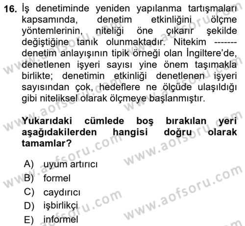 Çalışma Yaşamının Denetimi Dersi 2022 - 2023 Yılı Yaz Okulu Sınav Soruları 16. Soru