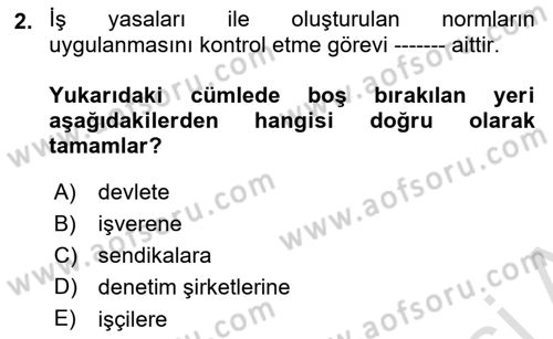 Çalışma Yaşamının Denetimi Dersi 2022 - 2023 Yılı Yaz Okulu Sınav Soruları 2. Soru