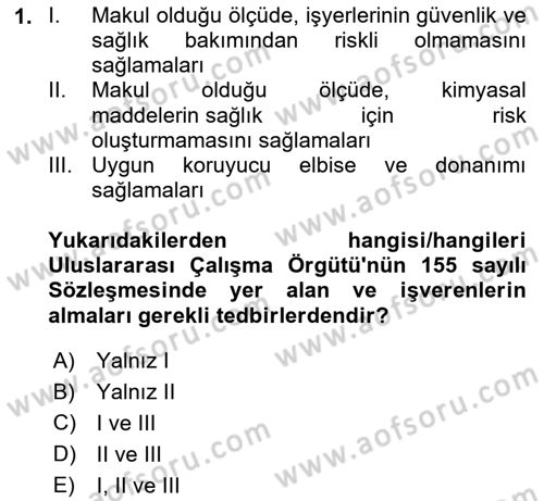 Çalışma Yaşamının Denetimi Dersi 2023 - 2024 Yılı Yaz Okulu Sınav Soruları 1. Soru