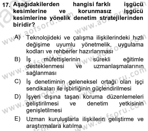 Çalışma Yaşamının Denetimi Dersi 2023 - 2024 Yılı Yaz Okulu Sınav Soruları 17. Soru