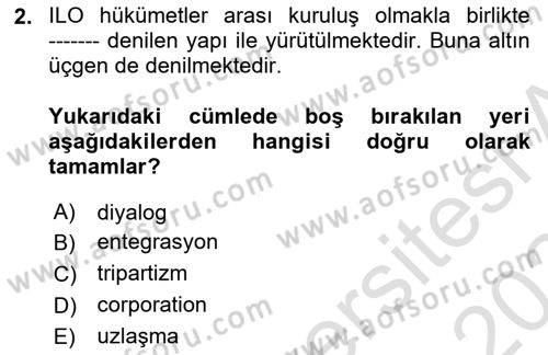 Çalışma Yaşamının Denetimi Dersi 2023 - 2024 Yılı Yaz Okulu Sınav Soruları 2. Soru