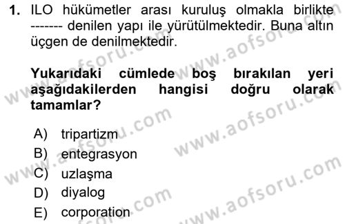 Çalışma Yaşamının Denetimi Dersi 2024 - 2025 Yılı (Vize) Ara Sınav Soruları 1. Soru
