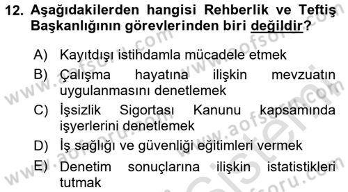 Çalışma Yaşamının Denetimi Dersi 2024 - 2025 Yılı (Vize) Ara Sınav Soruları 12. Soru