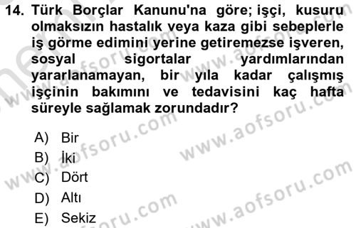 Çalışma Yaşamının Denetimi Dersi 2024 - 2025 Yılı (Vize) Ara Sınav Soruları 14. Soru