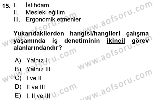 Çalışma Yaşamının Denetimi Dersi 2024 - 2025 Yılı (Vize) Ara Sınav Soruları 15. Soru