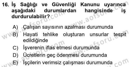 Çalışma Yaşamının Denetimi Dersi 2024 - 2025 Yılı (Vize) Ara Sınav Soruları 16. Soru