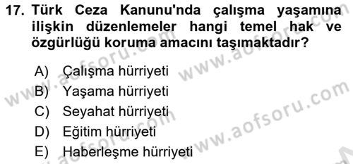 Çalışma Yaşamının Denetimi Dersi 2024 - 2025 Yılı (Vize) Ara Sınav Soruları 17. Soru