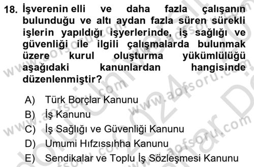 Çalışma Yaşamının Denetimi Dersi 2024 - 2025 Yılı (Vize) Ara Sınav Soruları 18. Soru