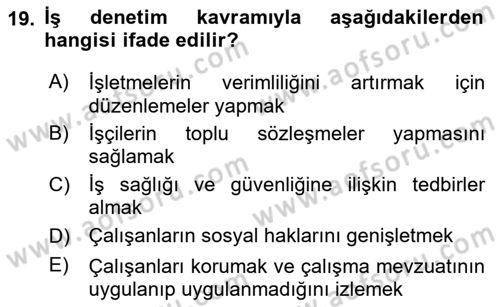Çalışma Yaşamının Denetimi Dersi 2024 - 2025 Yılı (Vize) Ara Sınav Soruları 19. Soru
