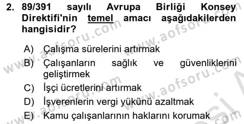 Çalışma Yaşamının Denetimi Dersi 2024 - 2025 Yılı (Vize) Ara Sınav Soruları 2. Soru
