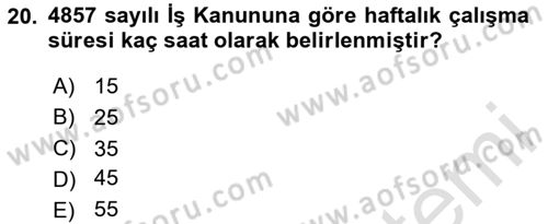 Çalışma Yaşamının Denetimi Dersi 2024 - 2025 Yılı (Vize) Ara Sınav Soruları 20. Soru