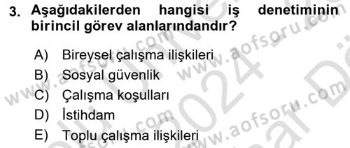 Çalışma Yaşamının Denetimi Dersi 2024 - 2025 Yılı (Vize) Ara Sınav Soruları 3. Soru