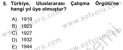 Çalışma Yaşamının Denetimi Dersi 2024 - 2025 Yılı (Vize) Ara Sınav Soruları 5. Soru