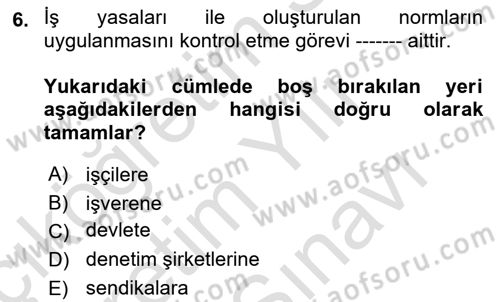 Çalışma Yaşamının Denetimi Dersi 2024 - 2025 Yılı (Vize) Ara Sınav Soruları 6. Soru