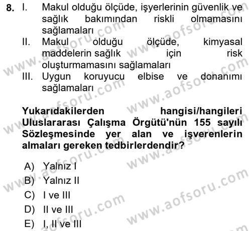 Çalışma Yaşamının Denetimi Dersi 2024 - 2025 Yılı (Vize) Ara Sınav Soruları 8. Soru