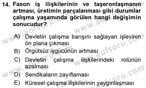 Çalışma Yaşamının Denetimi Dersi 2024 - 2025 Yılı (Final) Dönem Sonu Sınav Soruları 14. Soru