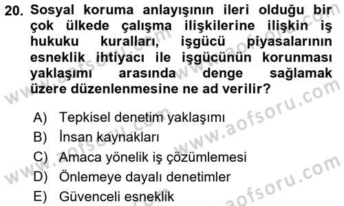 Çalışma Yaşamının Denetimi Dersi 2024 - 2025 Yılı (Final) Dönem Sonu Sınav Soruları 20. Soru