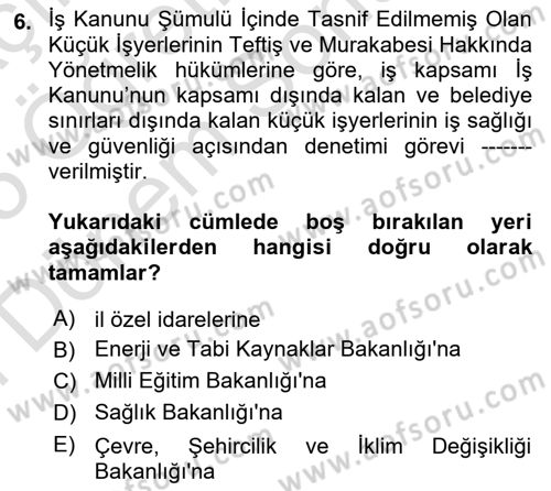 Çalışma Yaşamının Denetimi Dersi 2024 - 2025 Yılı (Final) Dönem Sonu Sınav Soruları 6. Soru