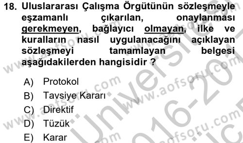 İş Sağlığı ve Güvenliği Dersi 2016 - 2017 Yılı 3 Ders Sınav Soruları 18. Soru