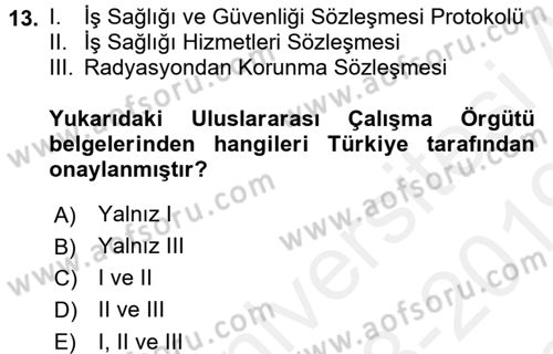 İş Sağlığı ve Güvenliği Dersi 2018 - 2019 Yılı (Final) Dönem Sonu Sınav Soruları 13. Soru