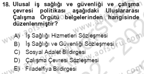 İş Sağlığı ve Güvenliği Dersi 2022 - 2023 Yılı (Final) Dönem Sonu Sınav Soruları 18. Soru