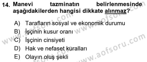 İş Sağlığı ve Güvenliği Dersi 2022 - 2023 Yılı Yaz Okulu Sınavı 14. Soru