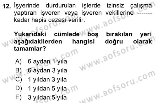İş Sağlığı ve Güvenliği Dersi 2024 - 2025 Yılı Yaz Okulu Sınav Soruları 12. Soru
