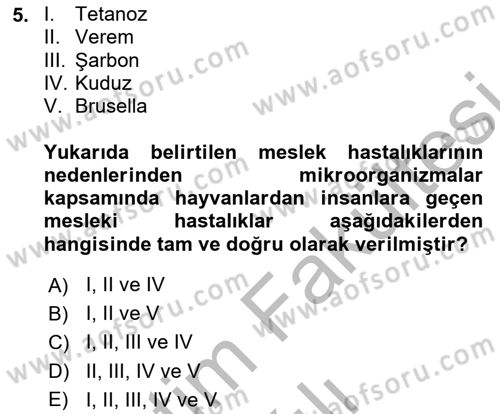 İş Sağlığı ve Güvenliği Dersi 2025 - 2026 Yılı (Vize) Ara Sınav Soruları 5. Soru