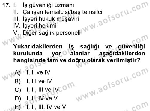 İş Sağlığı ve Güvenliği Dersi 2025 - 2026 Yılı (Final) Dönem Sonu Sınav Soruları 17. Soru