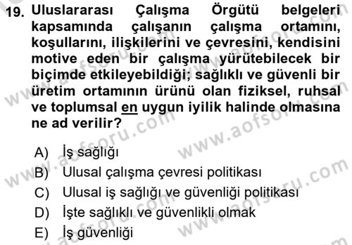 İş Sağlığı ve Güvenliği Dersi 2025 - 2026 Yılı (Final) Dönem Sonu Sınav Soruları 19. Soru