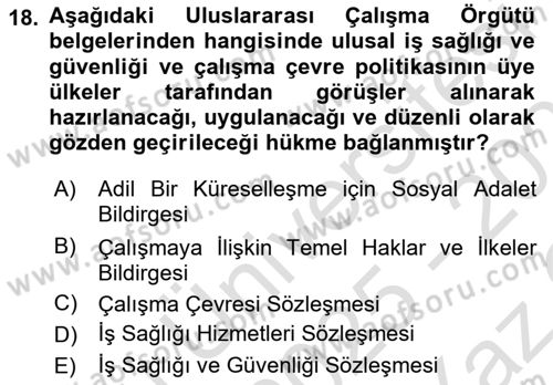 İş Sağlığı ve Güvenliği Dersi 2025 - 2026 Yılı Yaz Okulu Sınav Soruları 18. Soru