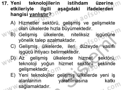 Yeni Teknolojiler ve Çalışma Hayatı Dersi 2012 - 2013 Yılı (Final) Dönem Sonu Sınav Soruları 17. Soru