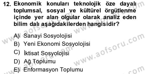 Yeni Teknolojiler ve Çalışma Hayatı Dersi 2013 - 2014 Yılı (Vize) Ara Sınav Soruları 12. Soru