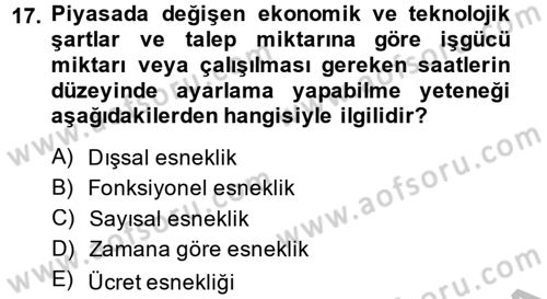 Yeni Teknolojiler ve Çalışma Hayatı Dersi 2013 - 2014 Yılı (Final) Dönem Sonu Sınav Soruları 17. Soru