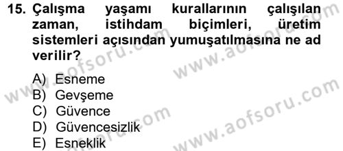 Yeni Teknolojiler ve Çalışma Hayatı Dersi 2013 - 2014 Yılı Tek Ders Sınav Soruları 15. Soru