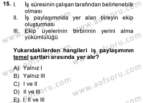 Yeni Teknolojiler ve Çalışma Hayatı Dersi 2014 - 2015 Yılı (Final) Dönem Sonu Sınav Soruları 15. Soru
