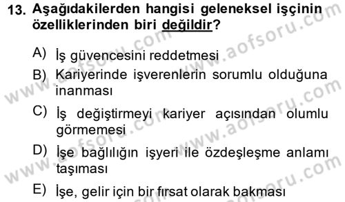Yeni Teknolojiler ve Çalışma Hayatı Dersi 2014 - 2015 Yılı Tek Ders Sınav Soruları 13. Soru