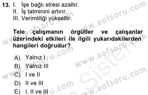 Yeni Teknolojiler ve Çalışma Hayatı Dersi 2015 - 2016 Yılı Tek Ders Sınav Soruları 13. Soru