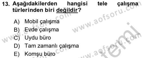 Yeni Teknolojiler ve Çalışma Hayatı Dersi 2016 - 2017 Yılı 3 Ders Sınav Soruları 13. Soru