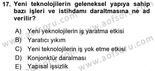 Yeni Teknolojiler ve Çalışma Hayatı Dersi 2016 - 2017 Yılı 3 Ders Sınav Soruları 17. Soru