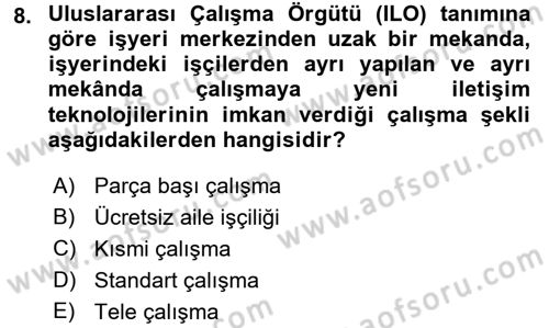 Yeni Teknolojiler ve Çalışma Hayatı Dersi 2016 - 2017 Yılı (Final) Dönem Sonu Sınav Soruları 8. Soru