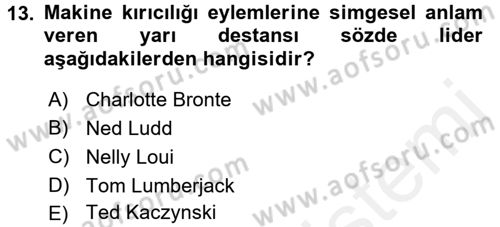 Yeni Teknolojiler ve Çalışma Hayatı Dersi 2017 - 2018 Yılı 3 Ders Sınav Soruları 13. Soru