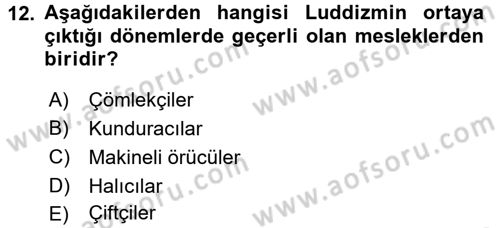 Yeni Teknolojiler ve Çalışma Hayatı Dersi 2017 - 2018 Yılı (Final) Dönem Sonu Sınav Soruları 12. Soru